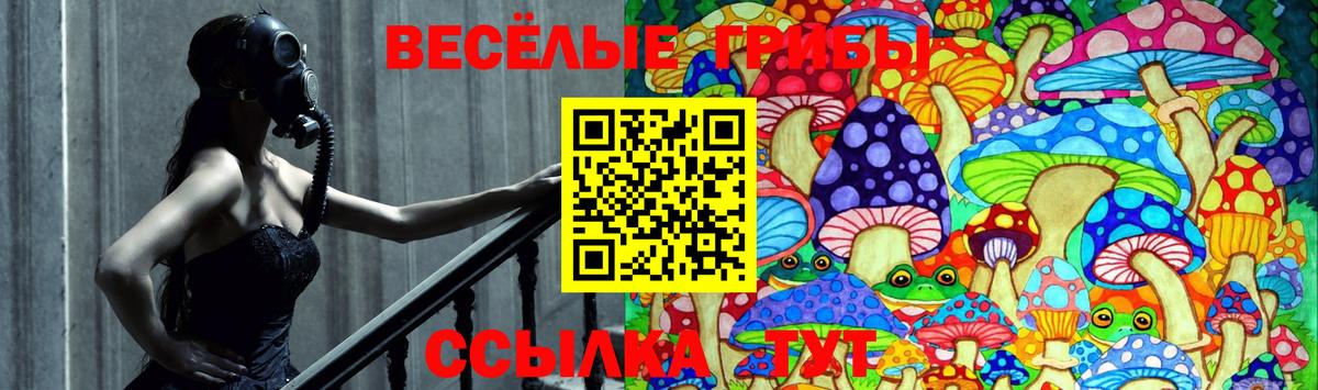 Псилоцибиновые грибы Psilocybe  Псилоцибиновые грибы Psilocybe  закладка  Вход с VPN  Мелеуз 