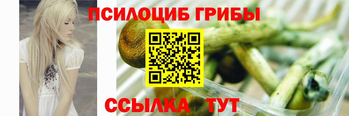 Галлюциногенные грибы MAGIC MUSHROOMS Мелеуз
